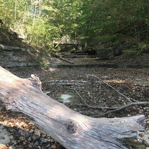 Meet your Posher, Bailey